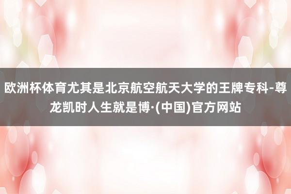 欧洲杯体育尤其是北京航空航天大学的王牌专科-尊龙凯时人生就是博·(中国)官方网站