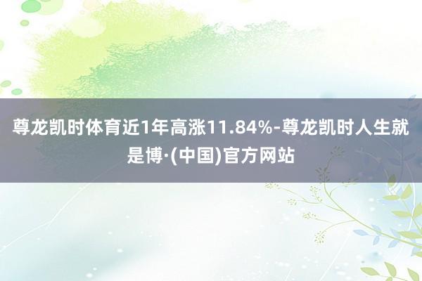 尊龙凯时体育近1年高涨11.84%-尊龙凯时人生就是博·(中国)官方网站