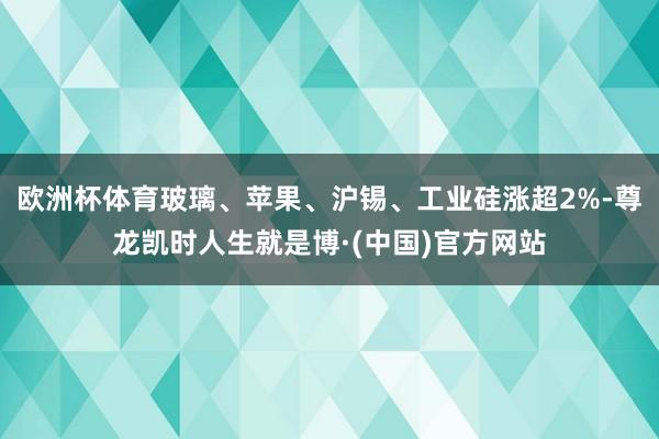 欧洲杯体育玻璃、苹果、沪锡、工业硅涨超2%-尊龙凯时人生就是博·(中国)官方网站